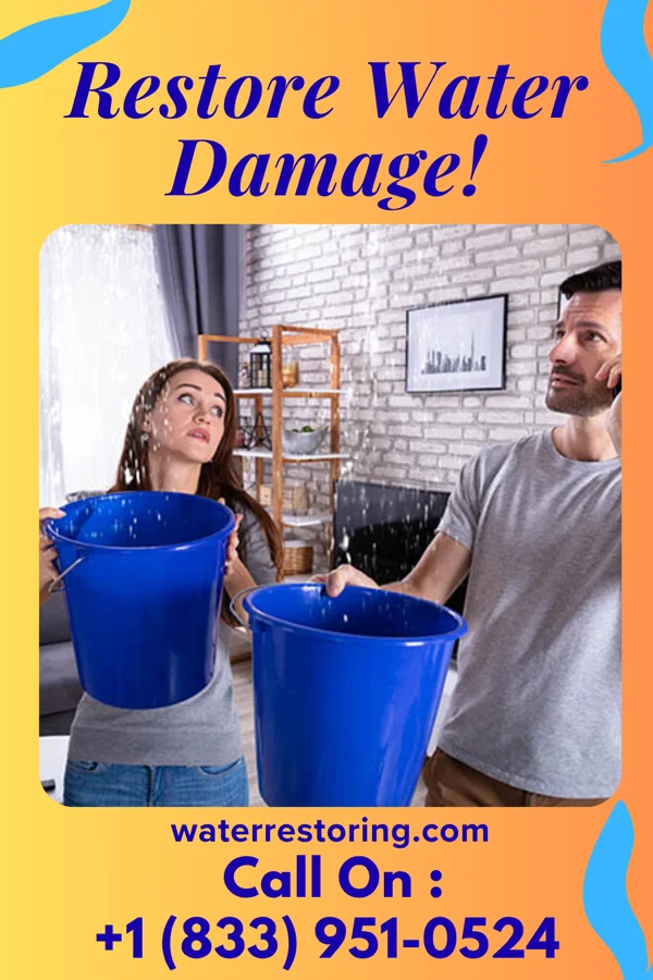 water restoration Shield Water Removal Partners Selden